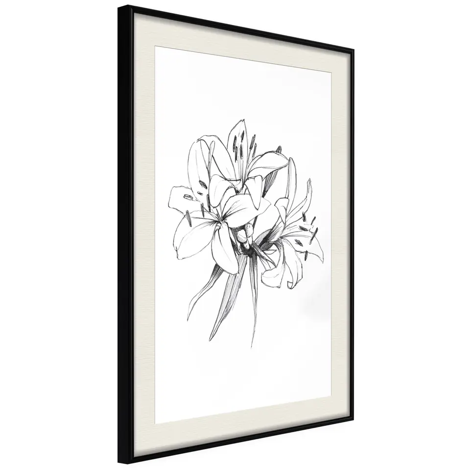⁨Poster - Lily sketch (size 30x45, finish Black frame with passe-partout)⁩ at Wasserman.eu