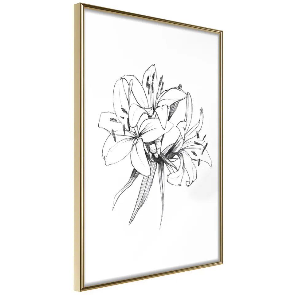 ⁨Plakat - Rysowane kwiaty [Poster] (rozmiar 20x30, wykończenie Rama złota)⁩ w sklepie Wasserman.eu