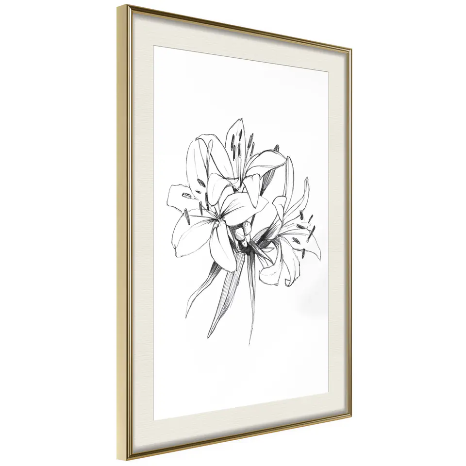 ⁨Poster - Lily sketch (size 40x60, finish Gold frame with passe-partout)⁩ at Wasserman.eu