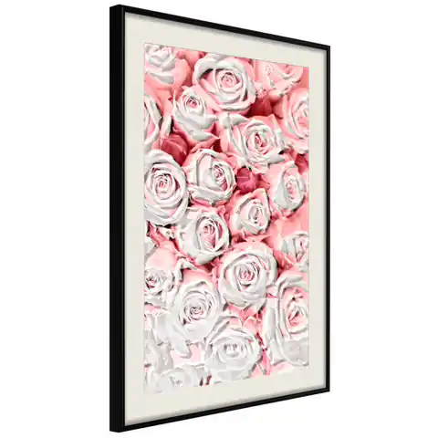 ⁨Plakat - Białe róże [Poster]⁩ w sklepie Wasserman.eu