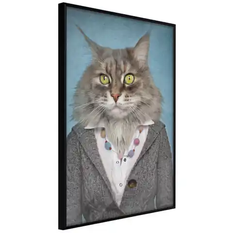 ⁨Plakat - Pani kot [Poster]⁩ w sklepie Wasserman.eu