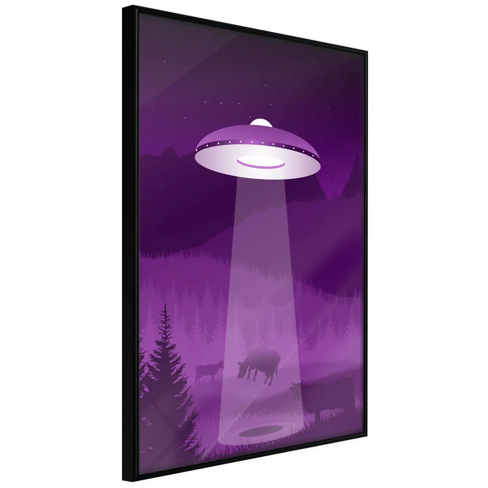 ⁨Poster - Flying saucer (size 20x30, finish Frame black)⁩ at Wasserman.eu