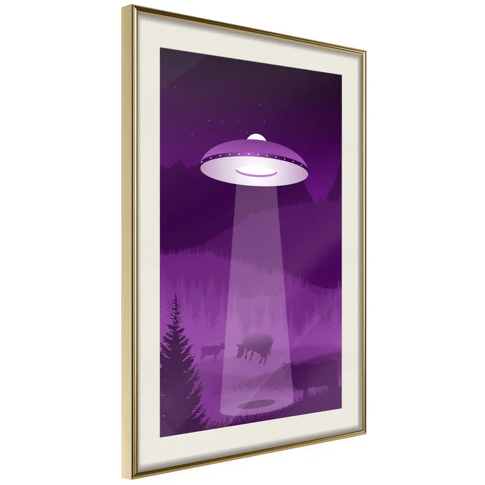 ⁨Poster - Flying saucer (size 20x30, finish Gold frame with passe-partout)⁩ at Wasserman.eu