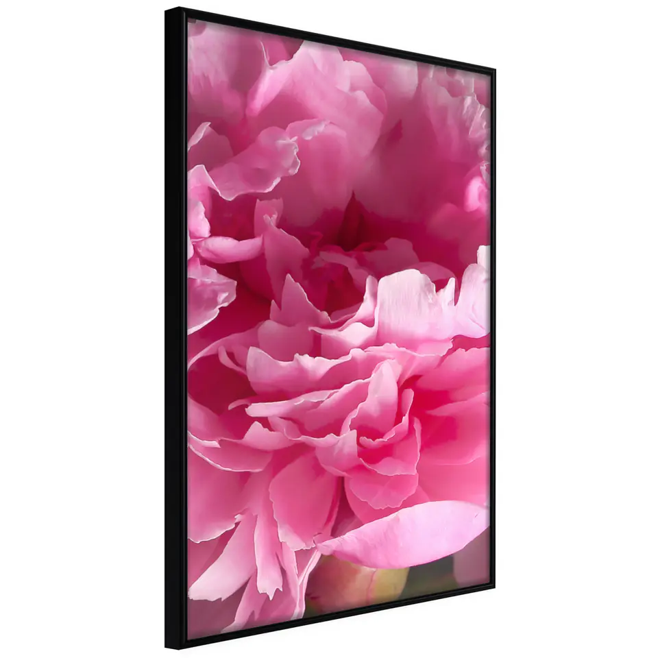 ⁨Poster - Magenta Frenzy (size 20x30, finish Frame black)⁩ at Wasserman.eu