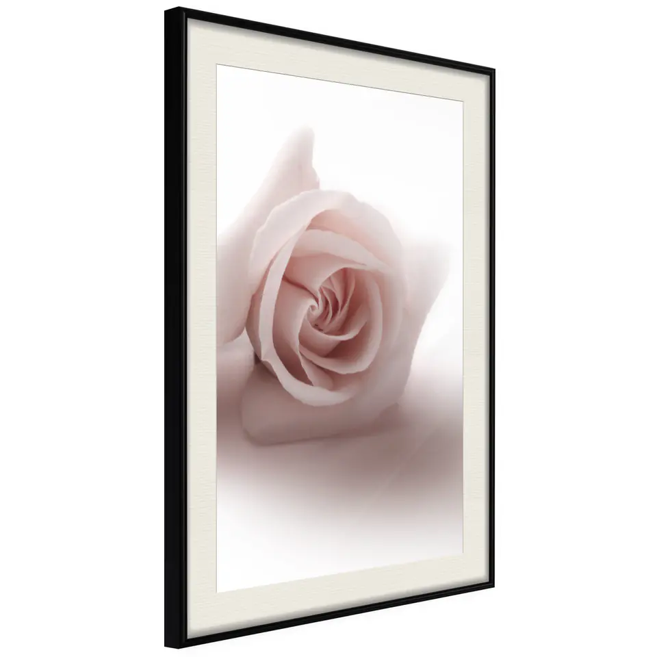 ⁨Plakat - Różany cień [Poster] (rozmiar 40x60, wykończenie Rama czarna z passe-partout)⁩ w sklepie Wasserman.eu