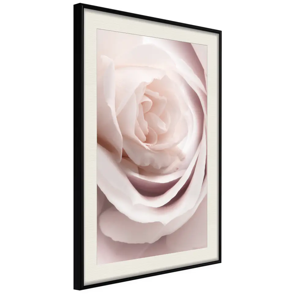 ⁨Plakat - Porcelanowa róża [Poster] (rozmiar 20x30, wykończenie Rama czarna z passe-partout)⁩ w sklepie Wasserman.eu