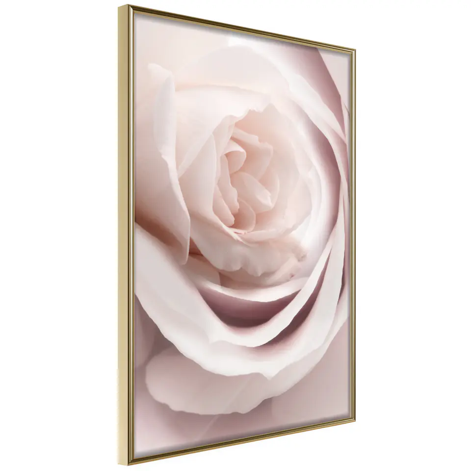 ⁨Plakat - Porcelanowa róża [Poster] (rozmiar 40x60, wykończenie Rama złota)⁩ w sklepie Wasserman.eu