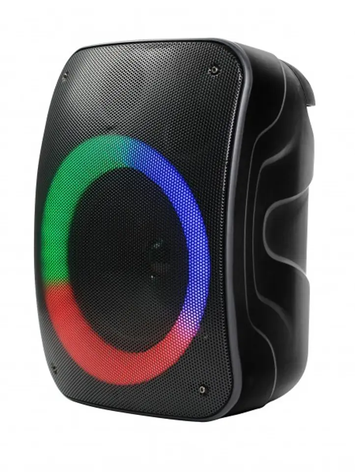 Bluetooth speaker Rebeltec STAGE 220 at Wasserman.eu