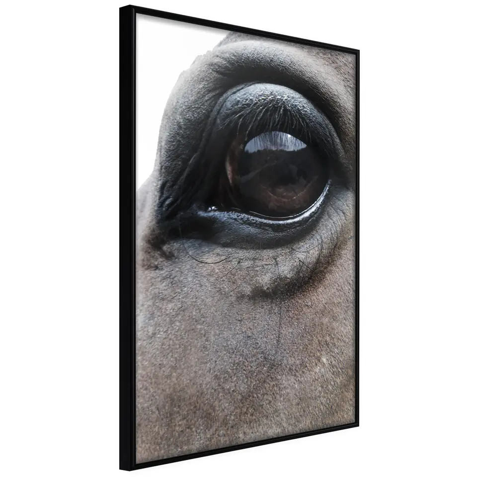 ⁨Poster - Gentle eyes (size 20x30, finish Frame black)⁩ at Wasserman.eu