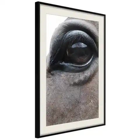 ⁨Poster - Gentle eyes (size 30x45, finish Black frame with passe-partout)⁩ at Wasserman.eu