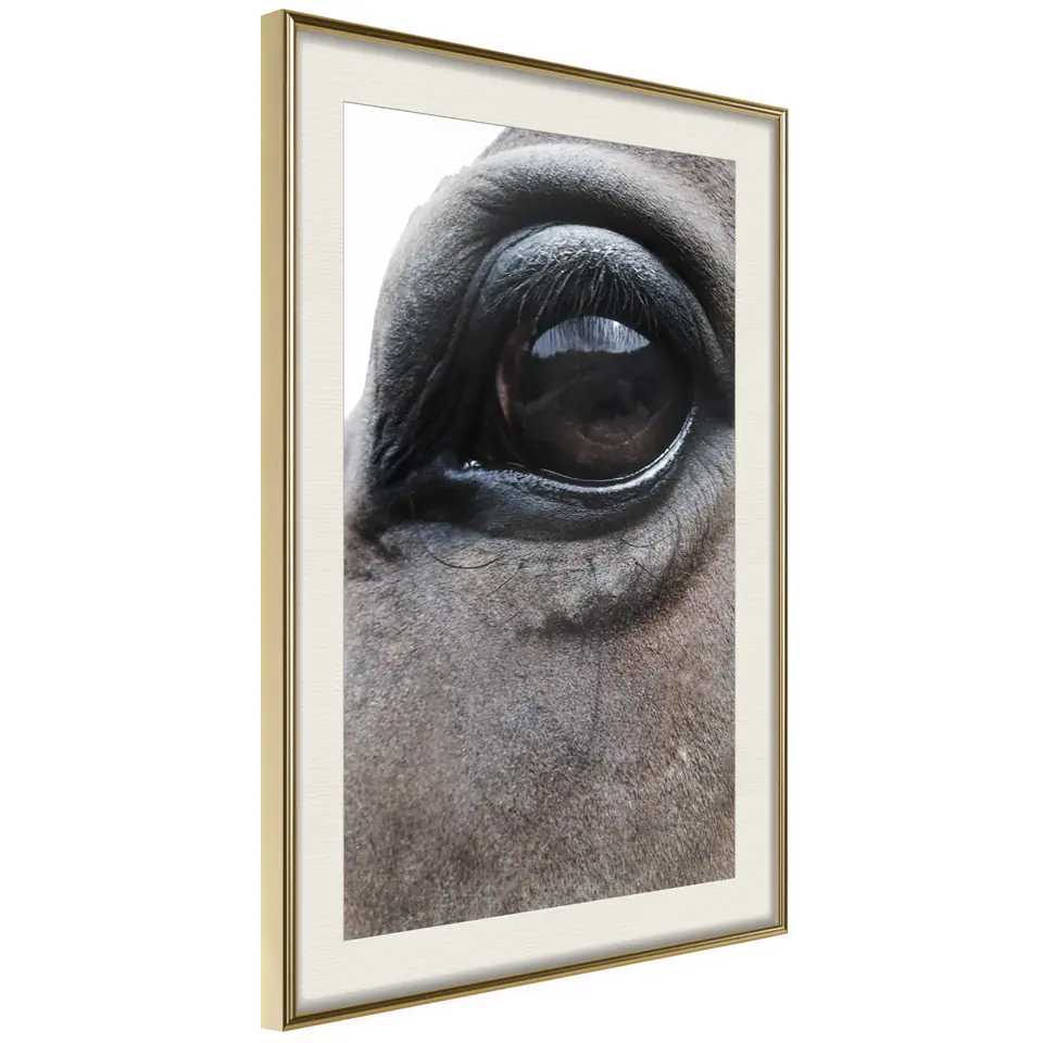 ⁨Plakat - Szczere oczy [Poster] (rozmiar 30x45, wykończenie Rama złota z passe-partout)⁩ w sklepie Wasserman.eu