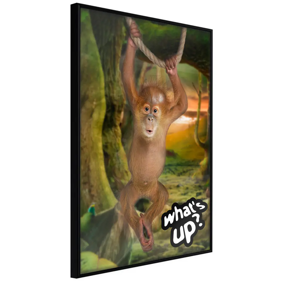 ⁨Poster - Life in the jungle (size 20x30, finish Frame black)⁩ at Wasserman.eu