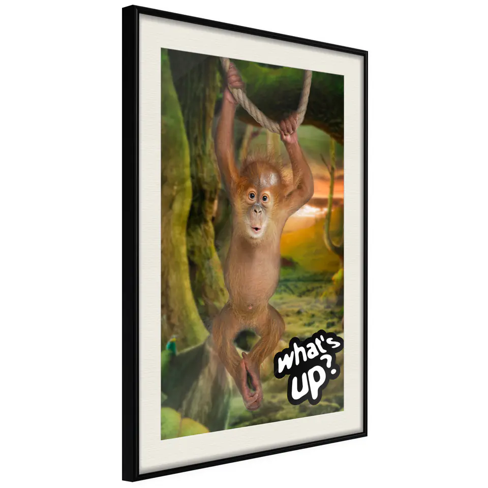 ⁨Plakat - What's Up? [Poster] (rozmiar 20x30, wykończenie Rama czarna z passe-partout)⁩ w sklepie Wasserman.eu