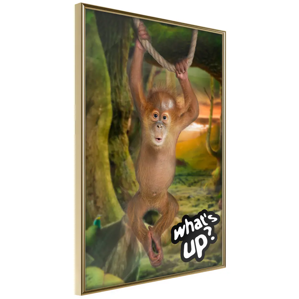 ⁨Poster - Life in the Jungle (size 20x30, finish Gold frame)⁩ at Wasserman.eu