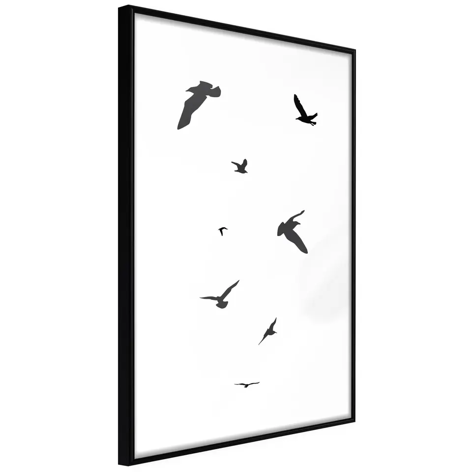 ⁨Poster - Birds (size 20x30, finish Frame black)⁩ at Wasserman.eu