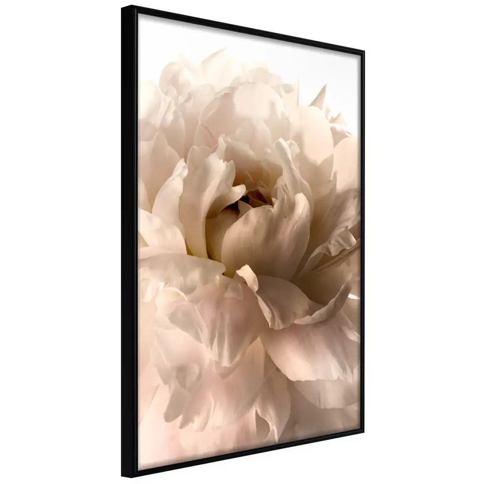 ⁨Poster - Bloom (size 20x30, finish Frame black)⁩ at Wasserman.eu
