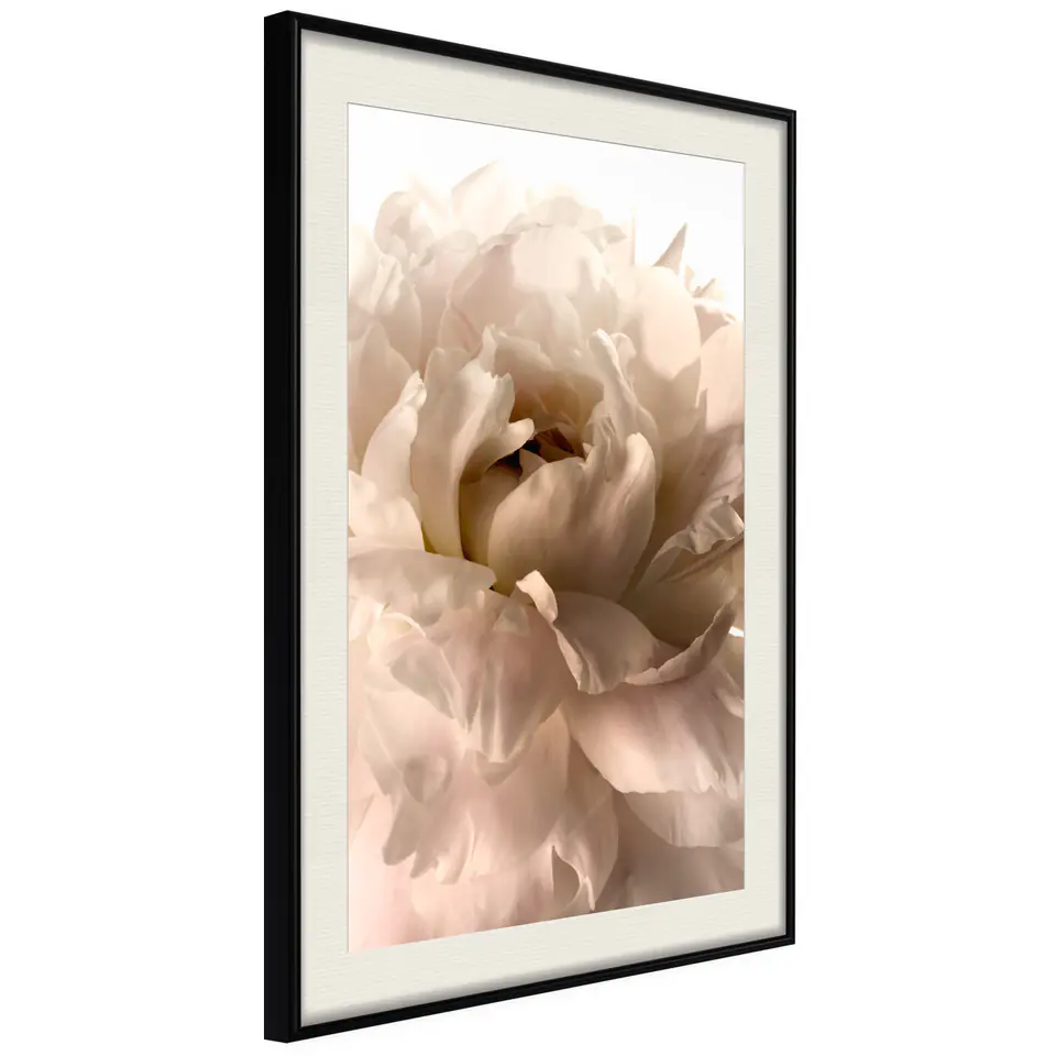 ⁨Poster - Bloom (size 20x30, finish Black frame with passe-partout)⁩ at Wasserman.eu