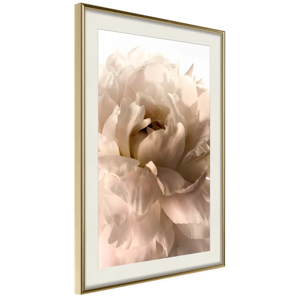 ⁨Poster - Bloom (size 20x30, finish Gold frame with passe-partout)⁩ at Wasserman.eu