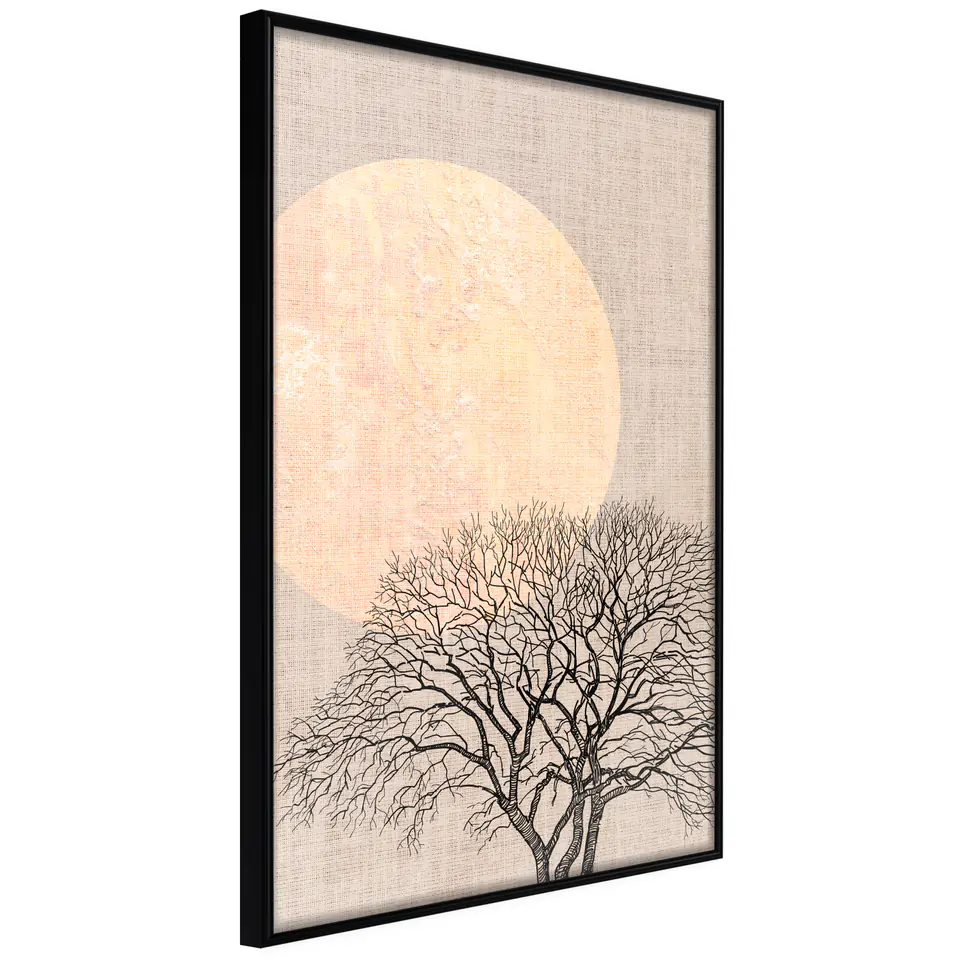 ⁨Poster - Tree in the morning (size 20x30, finish Frame black)⁩ at Wasserman.eu