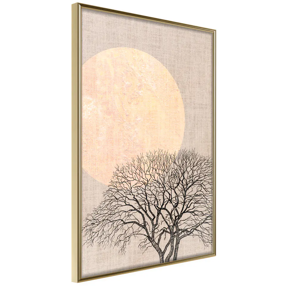 ⁨Poster - Tree in the morning (size 20x30, finish Gold frame)⁩ at Wasserman.eu