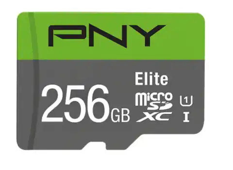 ⁨MicroSDXC Elite 256GB P-SDU256V11100EL-GE memory card⁩ at Wasserman.eu