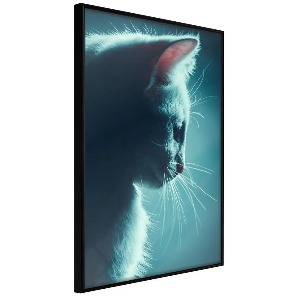 ⁨Poster - Delightful furry (size 20x30, finish Frame black)⁩ at Wasserman.eu