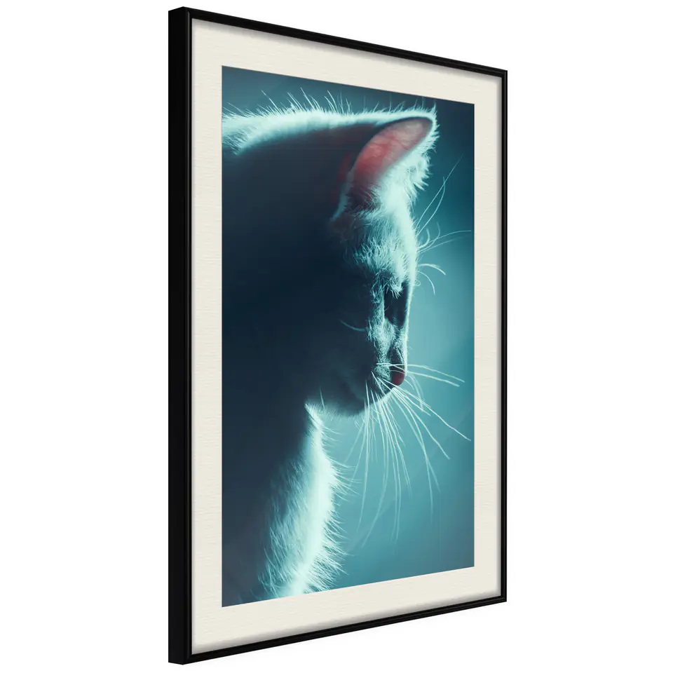 ⁨Plakat - Nocny włóczęga [Poster] (rozmiar 40x60, wykończenie Rama czarna z passe-partout)⁩ w sklepie Wasserman.eu