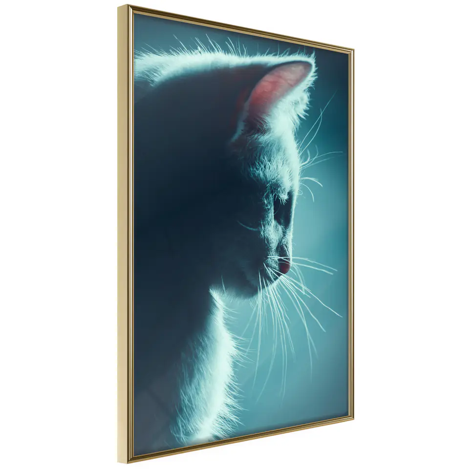 ⁨Poster - Delightful furry (size 20x30, finish Gold frame)⁩ at Wasserman.eu