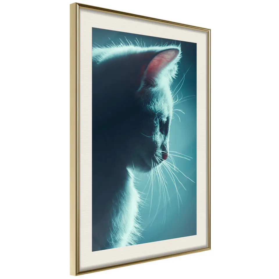 ⁨Plakat - Nocny włóczęga [Poster] (rozmiar 20x30, wykończenie Rama złota z passe-partout)⁩ w sklepie Wasserman.eu