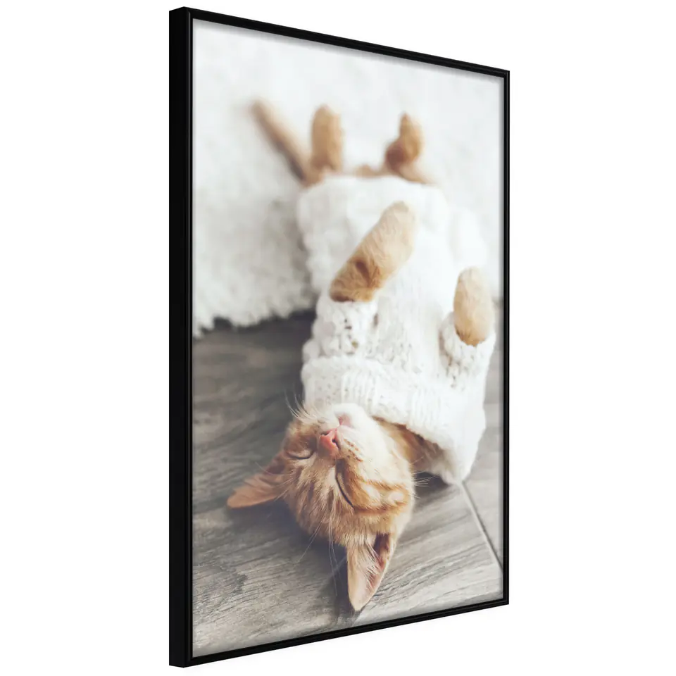 ⁨Poster - Cat Life (size 20x30, finish Frame black)⁩ at Wasserman.eu