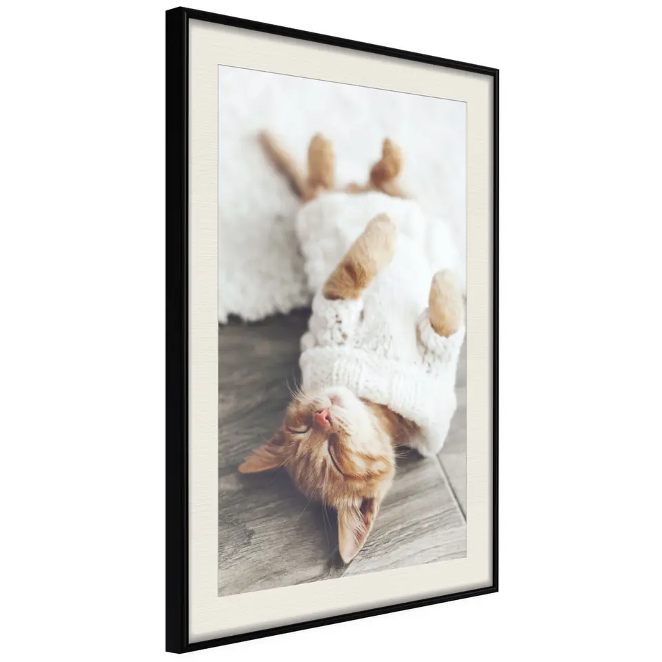 ⁨Plakat - Leniwy kot [Poster] (rozmiar 40x60, wykończenie Rama czarna z passe-partout)⁩ w sklepie Wasserman.eu