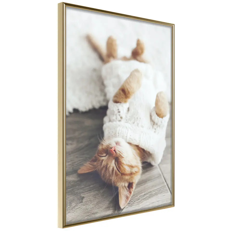 ⁨Poster - Cat Life (size 20x30, finish Gold frame)⁩ at Wasserman.eu