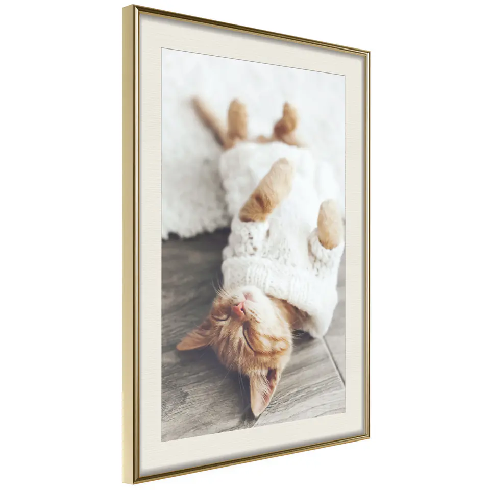 ⁨Poster - Cat's life (size 40x60, finish Gold frame with passe-partout)⁩ at Wasserman.eu