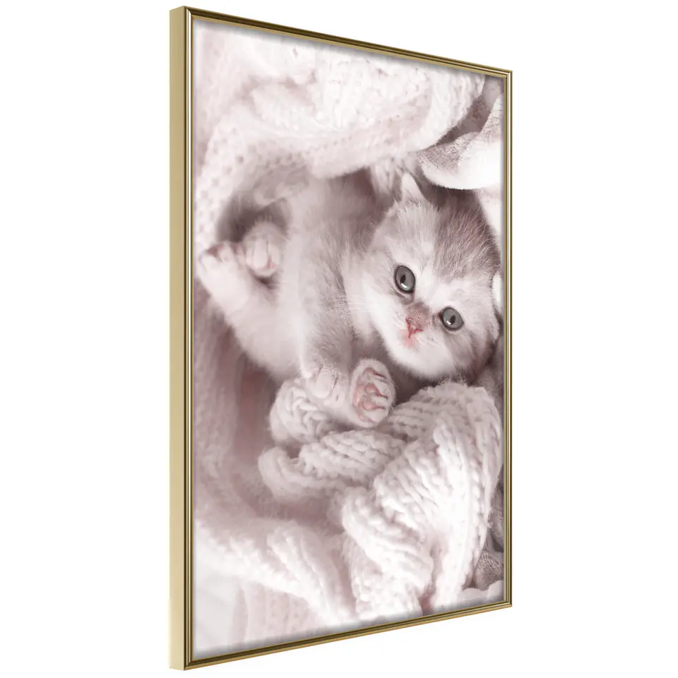 ⁨Poster - Tangled in sweater (size 20x30, finish Gold frame)⁩ at Wasserman.eu