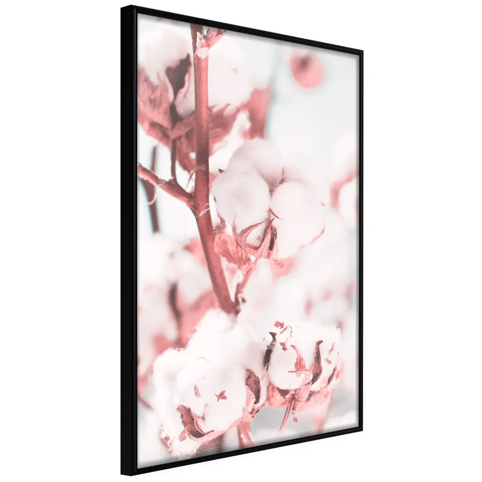 ⁨Poster - Cotton flowers (size 20x30, finish Frame black)⁩ at Wasserman.eu