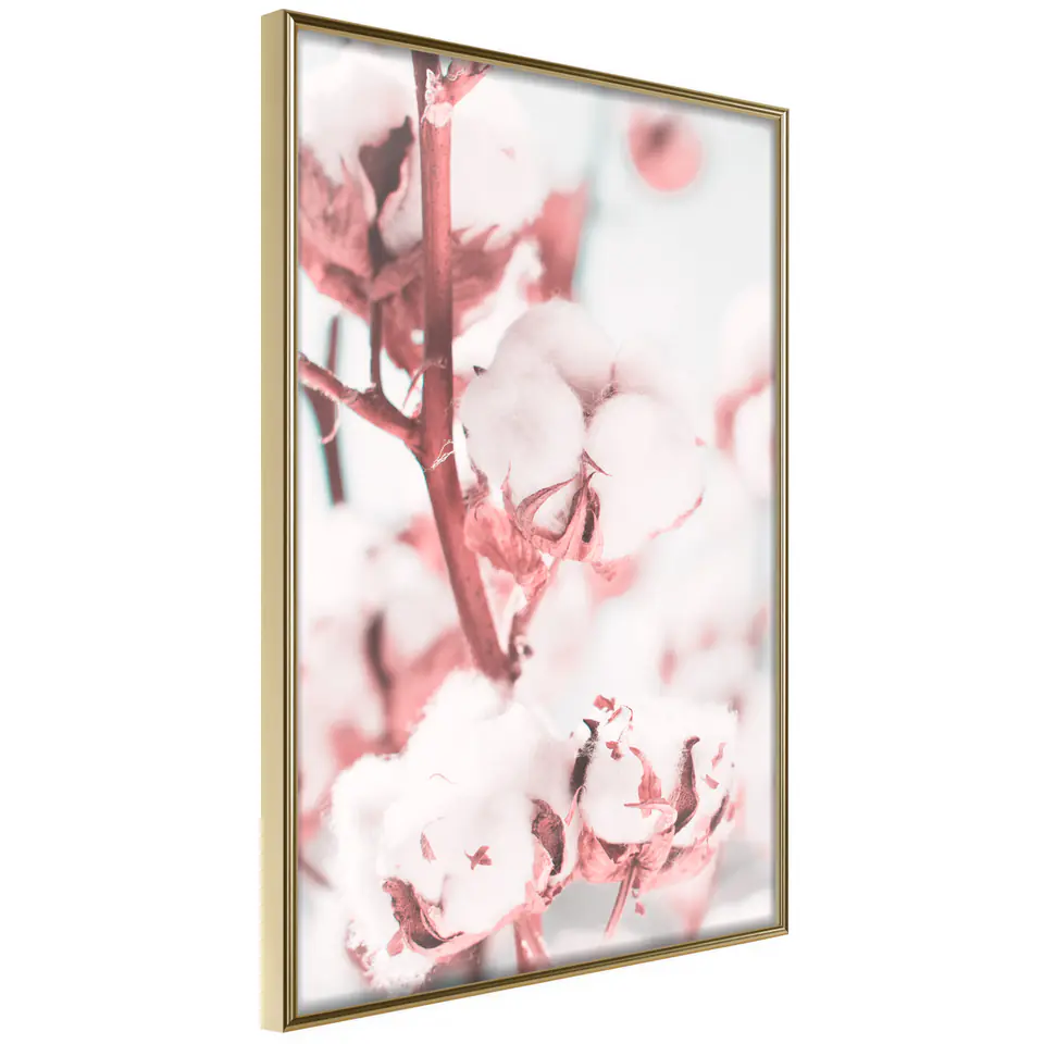 ⁨Poster - Cotton flowers (size 20x30, finish Gold frame)⁩ at Wasserman.eu