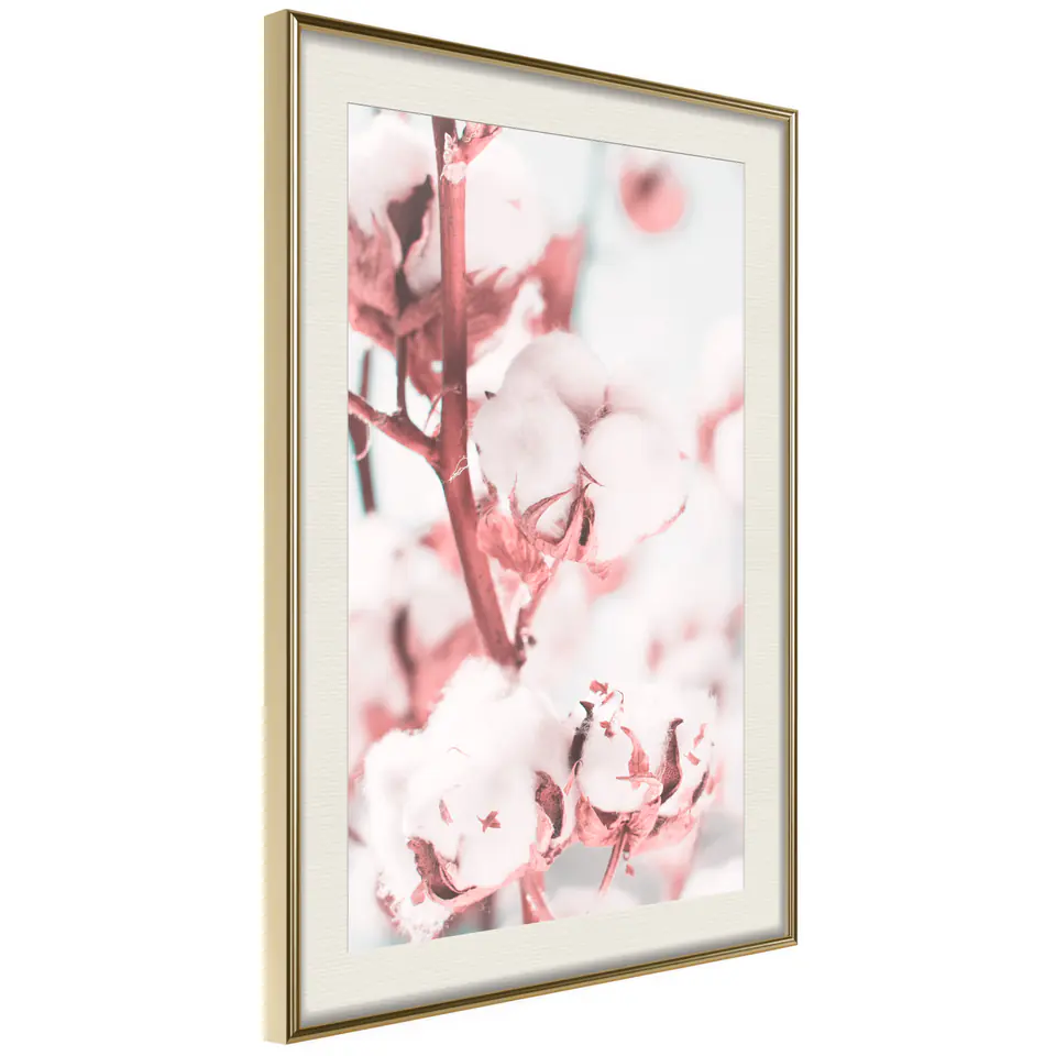 ⁨Poster - Cotton flowers (size 20x30, finish Gold frame with passe-partout)⁩ at Wasserman.eu