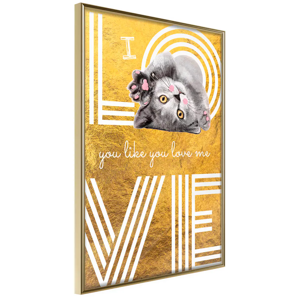 ⁨Poster - Cat's love (size 20x30, finish Frame gold)⁩ at Wasserman.eu