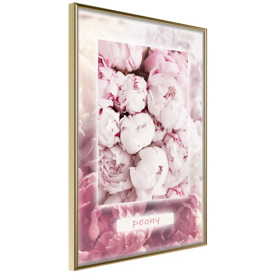 ⁨Poster - Peony Scent (size 20x30, Gold Frame finish)⁩ at Wasserman.eu