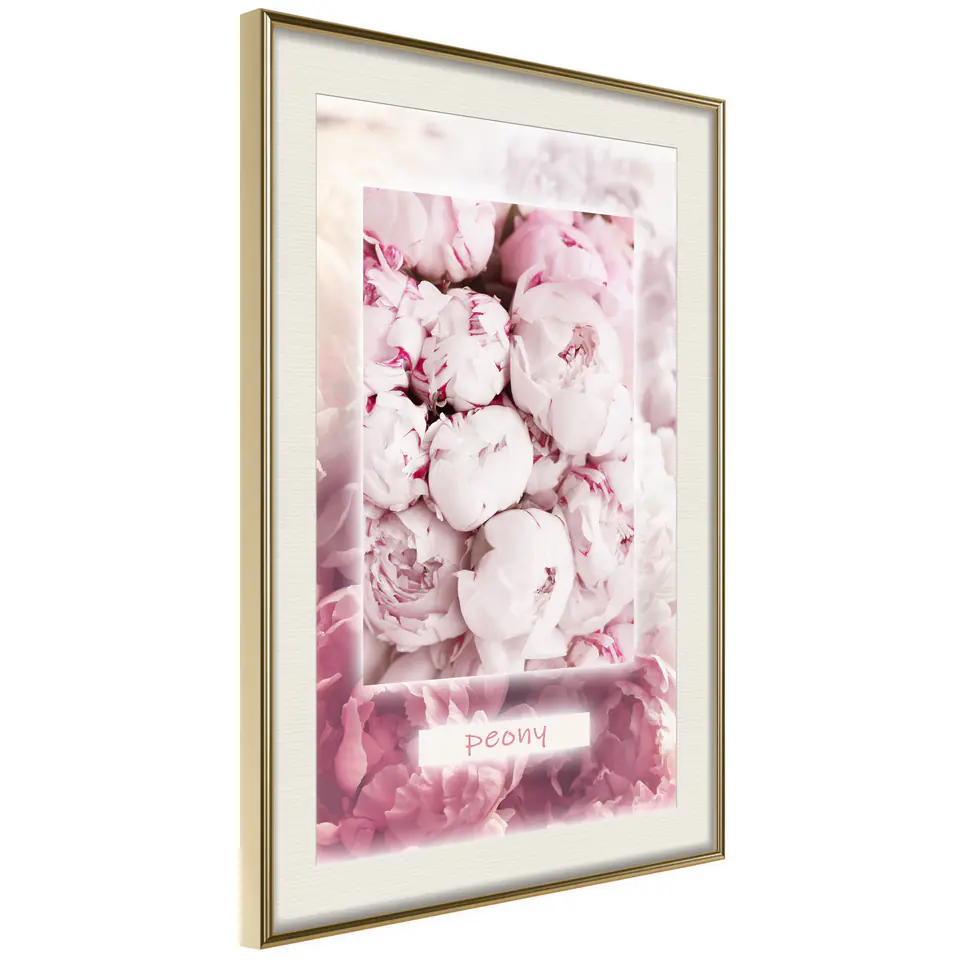 ⁨Poster - Peony scent (size 20x30, finish Gold frame with passe-partout)⁩ at Wasserman.eu