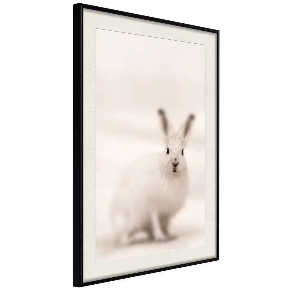 ⁨Plakat - Strachliwe spojrzenie [Poster] (rozmiar 30x45, wykończenie Rama czarna z passe-partout)⁩ w sklepie Wasserman.eu