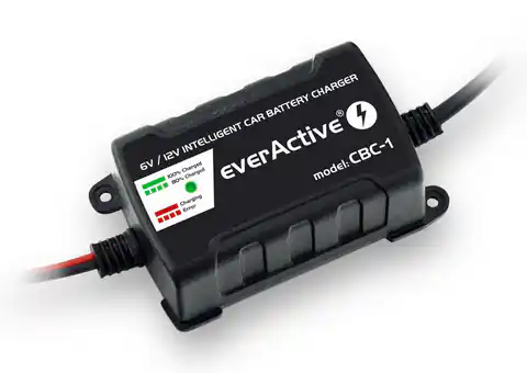 ⁨Car battery charger everActive CBC1 6V/12V⁩ at Wasserman.eu