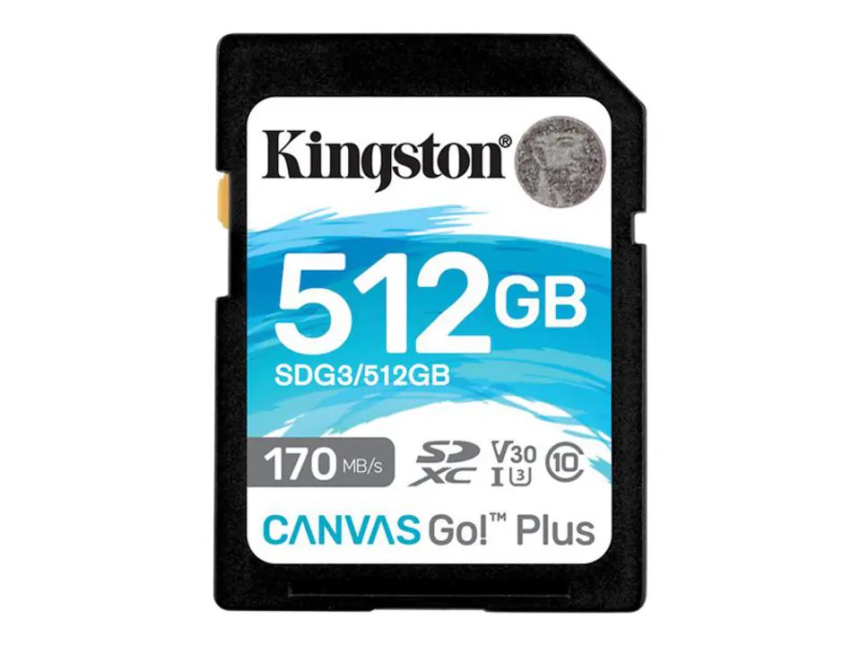 KINGSTON 512 GB memory card at Wasserman.eu