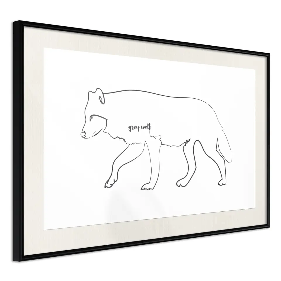 ⁨Poster - Wolf gray (size 30x20, finish Black frame with passe-partout)⁩ at Wasserman.eu