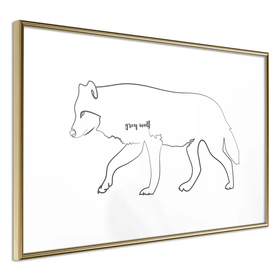 ⁨Poster - Gray wolf (size 45x30, finish Frame gold)⁩ at Wasserman.eu