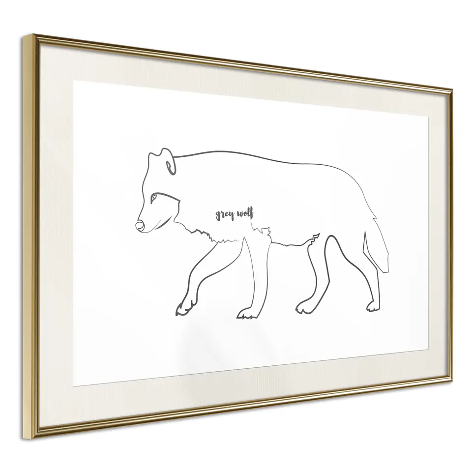 ⁨Poster - Gray wolf (size 45x30, finish Gold frame with passe-partout)⁩ at Wasserman.eu