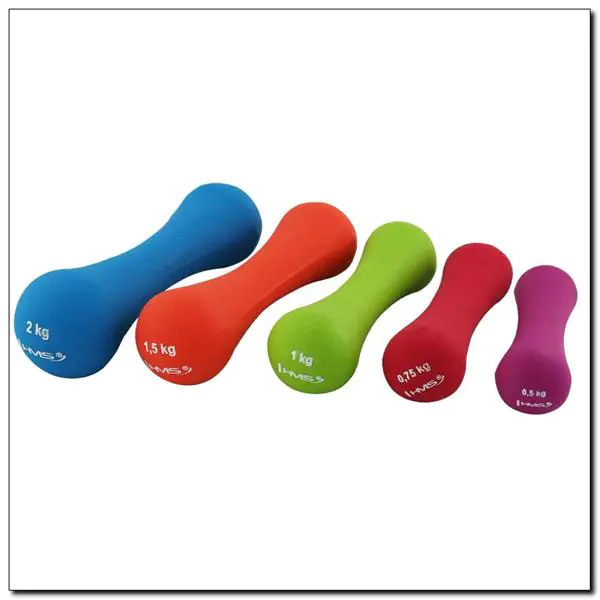 17025 CAST IRON WEIGHT COATED WITH NEOPRENE 1.5 KG HMS at Wasserman.eu