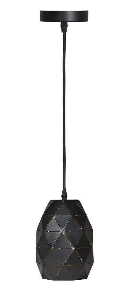 ⁨Lampa wiszaca Activeje AJE-EVA Black 1xE27⁩ w sklepie Wasserman.eu