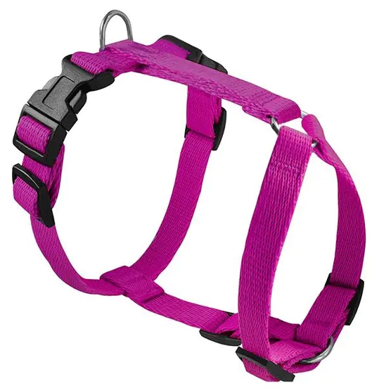 ⁨CHABA Braces Guard M 2,0cm fuchsia⁩ at Wasserman.eu