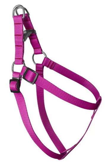 ⁨CHABA Adjustable braces smooth 1-40cm fuchsia⁩ at Wasserman.eu